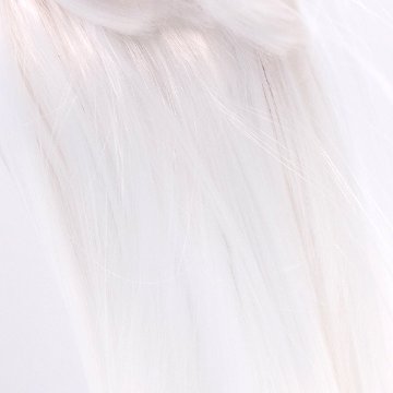 ロングウィッグ　20cmの画像