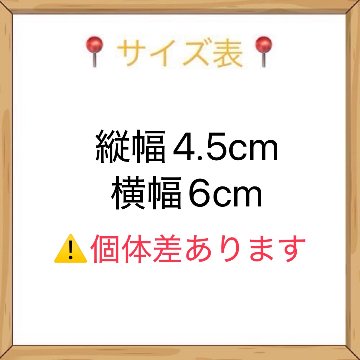 無地Tシャツ10cmの画像