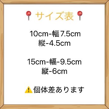フード付きダウンコート　10cm/15cmの画像