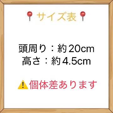 ブラックキャップCE　10cmの画像
