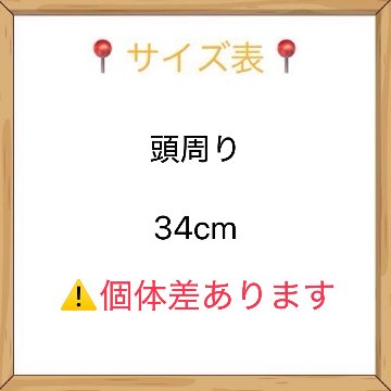 ブラックキャップCK　20cmの画像