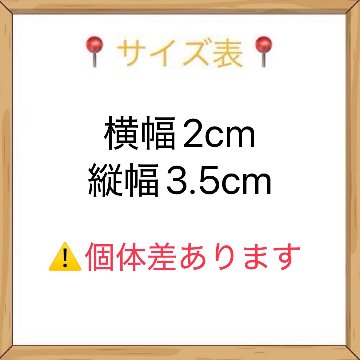スニーカー紐タイプ　10cm/15cm兼用の画像