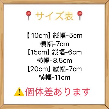 【予約】ホワイトT tnf　10cm/15cm/20cmの画像
