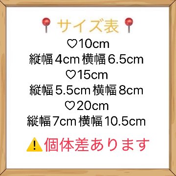 ラグランTシャツの画像
