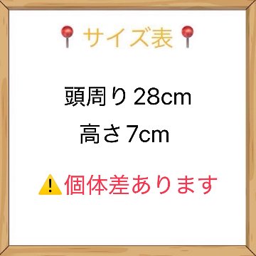 ブラック🧢15cmの画像