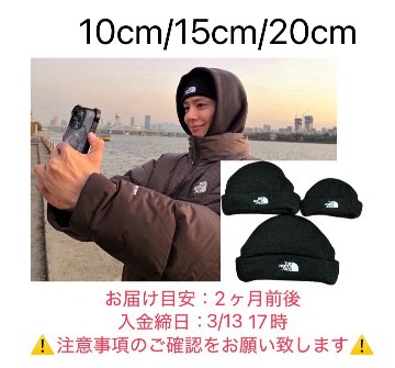 【予約】ビーニーTNFの画像