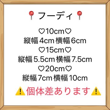 グレーフーディ✌BWの画像