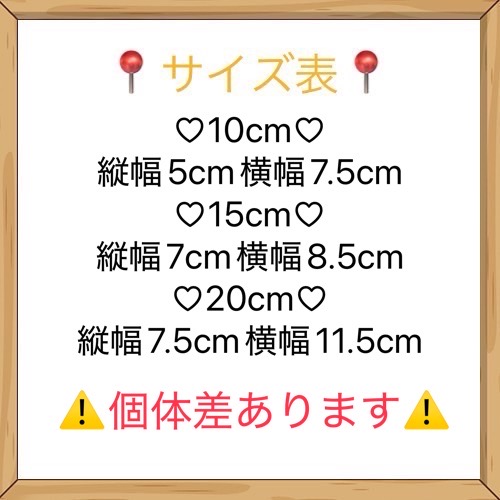 【在庫販売】アウターTNFの画像