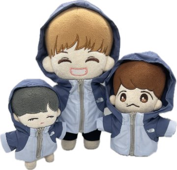 【在庫販売】アウターTNFの画像