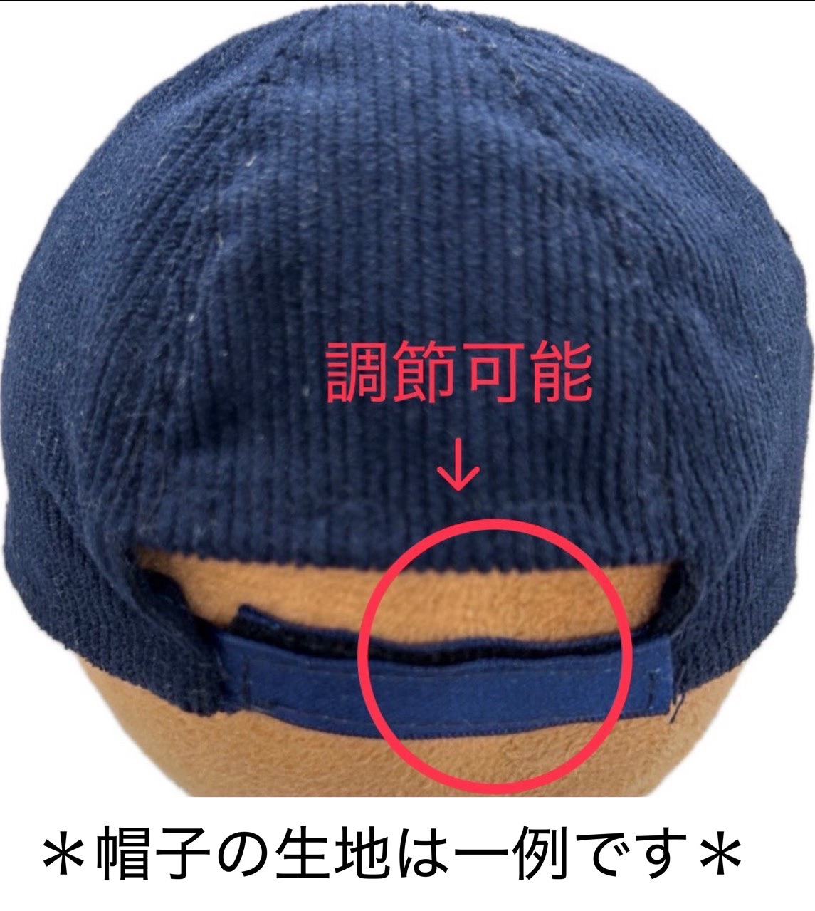 【予約】ツアー🧢BGの画像