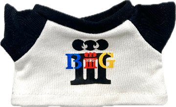 【予約】ツアーT♡BGの画像