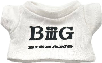 【予約】ツアーT♡BGの画像