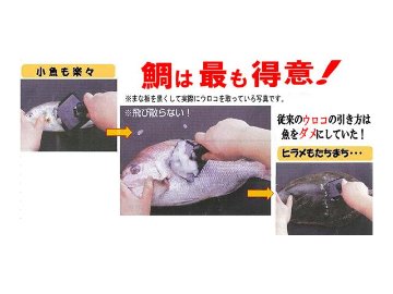 鱗トル カタリキの画像