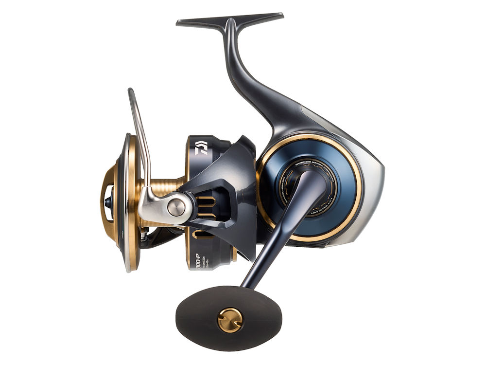 25SALTIGA 25000-Pの画像