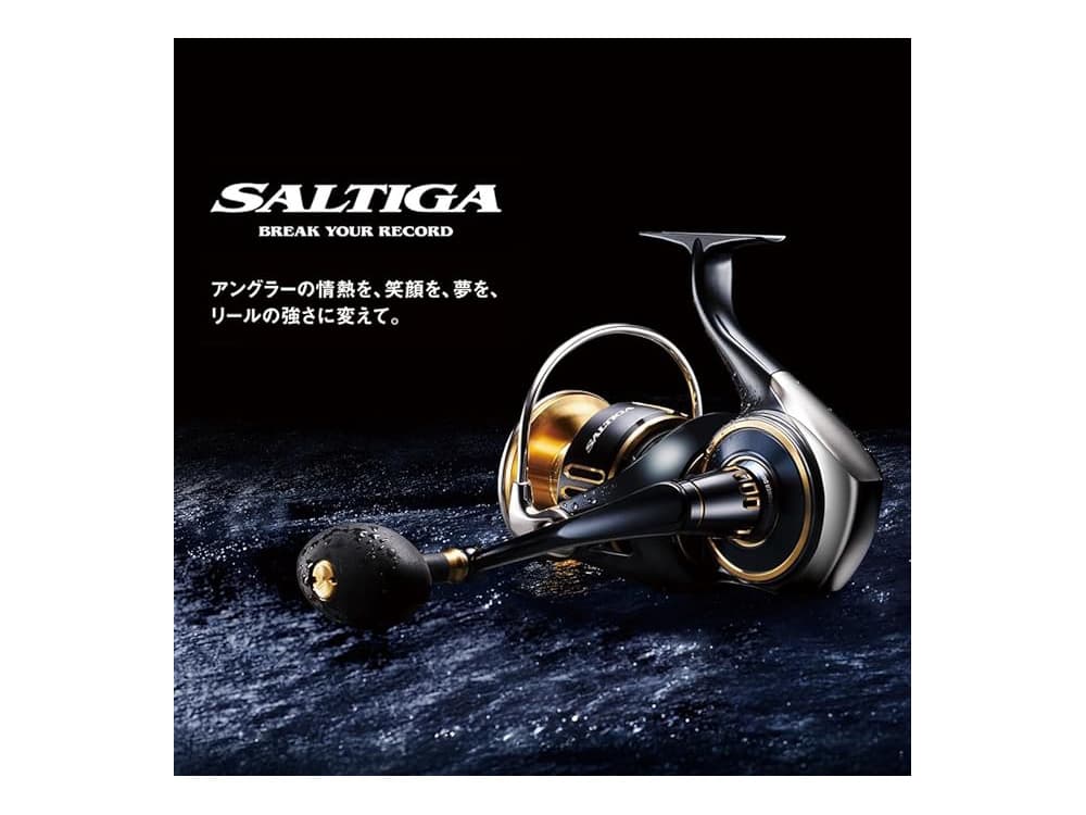 25SALTIGA 8000-Pの画像
