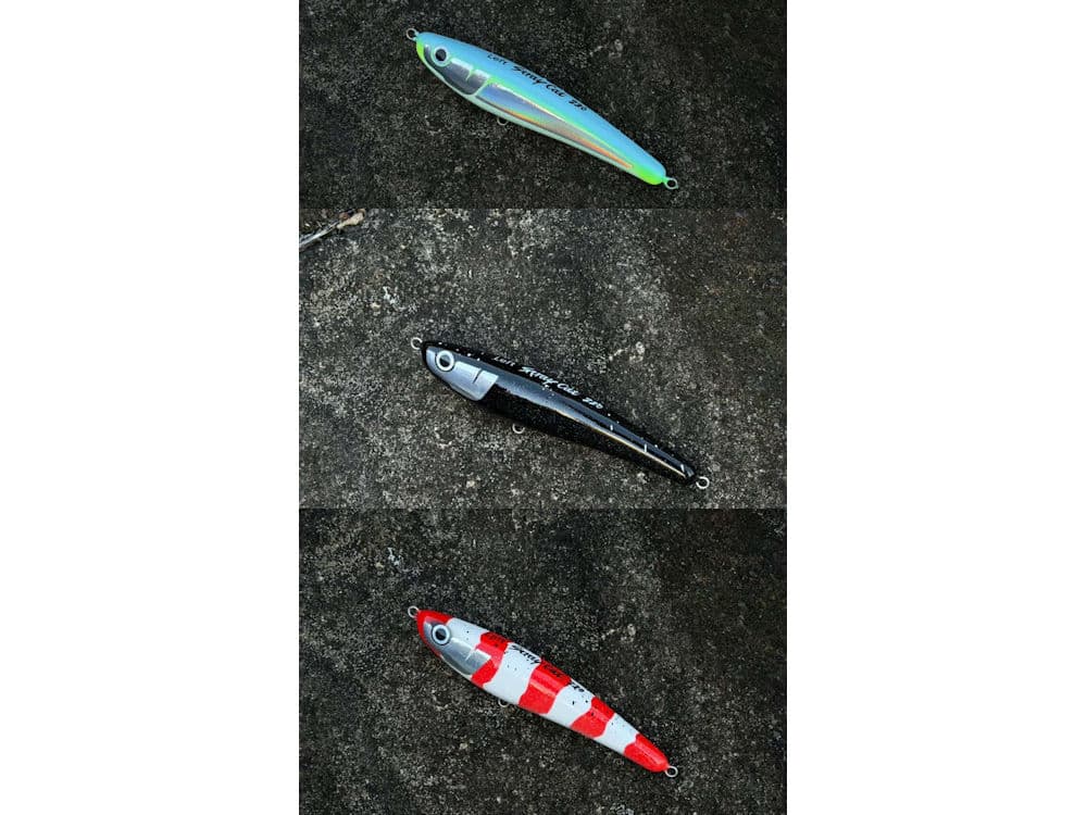 Left StrayCat 220の画像