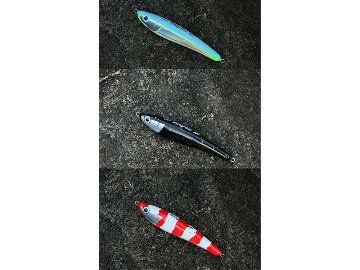 Left StrayCat 220の画像