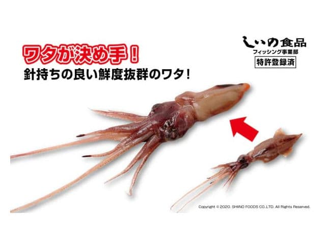 集魚戦隊 蛍イカレンジャー しいの食品の画像