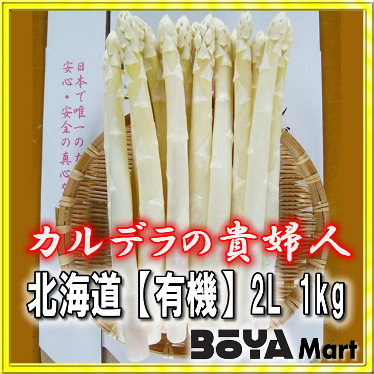 【申込期間７月３日まで】有機JASホワイトアスパラガス「カルデラの貴婦人」 サイズ２L １ｋｇ　【送料込み】【有機栽培/北海道/滝本農場】の画像