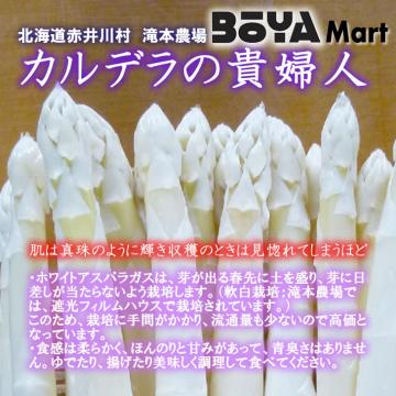 【申込期間７月３日まで】有機JASホワイトアスパラガス「カルデラの貴婦人」 サイズ２L １ｋｇ　【送料込み】【有機栽培/北海道/滝本農場】の画像