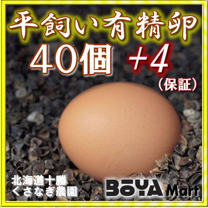 くさなぎ農園　平飼い有精卵　４０個（割れ保証４個含４４個）【自家製国産飼料/安全】【送料込】画像