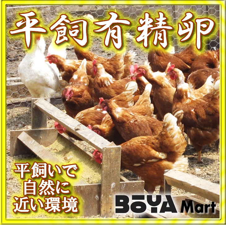 くさなぎ農園　平飼い有精卵　４０個（割れ保証４個含４４個）【自家製国産飼料/安全】【送料込】画像