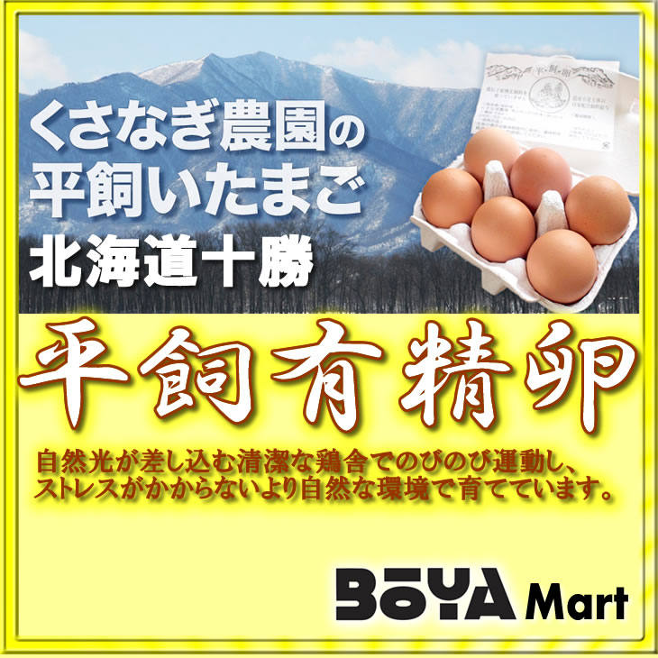 くさなぎ農園　平飼い有精卵　４０個（割れ保証４個含４４個）【自家製国産飼料/安全】【送料込】画像