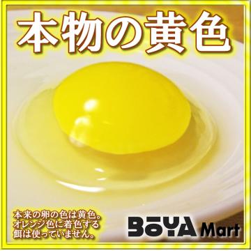 くさなぎ農園　平飼い有精卵　４０個（割れ保証４個含４４個）【自家製国産飼料/安全】【送料込】の画像