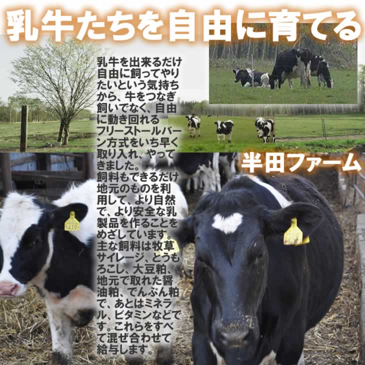 半田ファーム【ルーサン】ホール 【本格的ナチュラルチーズ】【送料込】北海道/大樹町の画像