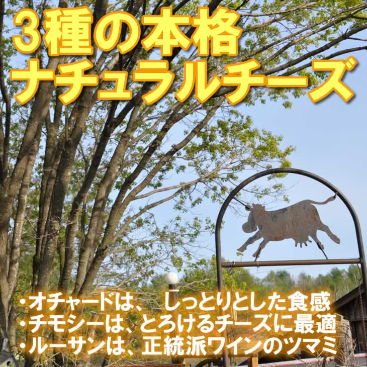 半田ファーム【ルーサン】ハーフホール 【本格的ナチュラルチーズ】【送料込】北海道/大樹町の画像