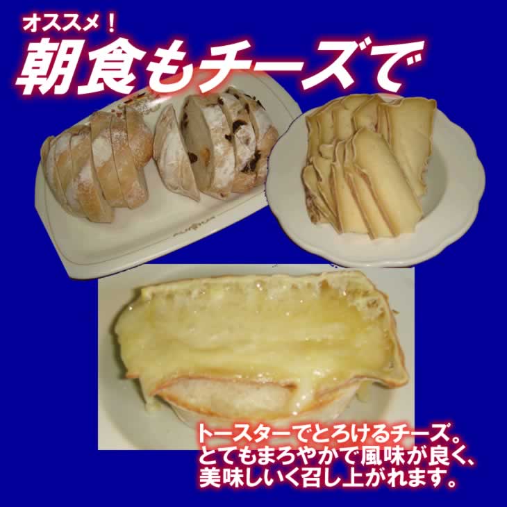 半田ファーム【オチャード】ホール 【本格的ナチュラルチーズ】【送料込】北海道/大樹町の画像