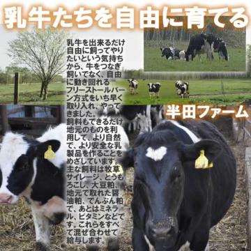 半田ファーム【オチャード】ホール 【本格的ナチュラルチーズ】【送料込】北海道/大樹町の画像