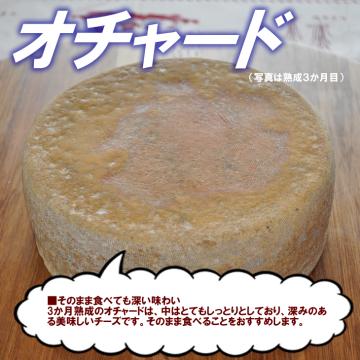 半田ファーム【オチャード】ホール 【本格的ナチュラルチーズ】【送料込】北海道/大樹町の画像