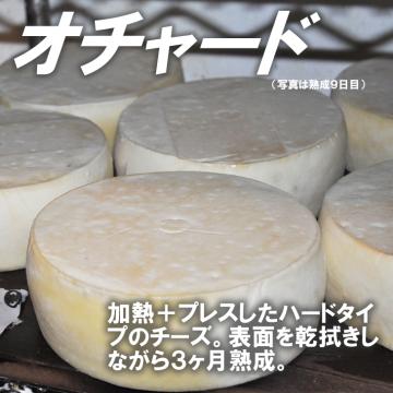 半田ファーム【オチャード】ハーフホール 【本格的ナチュラルチーズ】【送料込】北海道/大樹町の画像