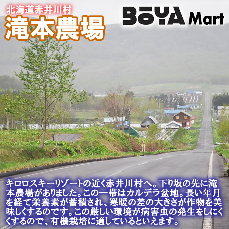 【申込期間６月１３日まで】有機JASグリーンアスパラガス「カルデラの貴公子」 サイズ２L １ｋｇ　【送料込み】【有機栽培/北海道/滝本農場】の画像