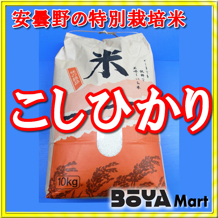 信州安曇野コシヒカリ20kg食品 - 米/穀物
