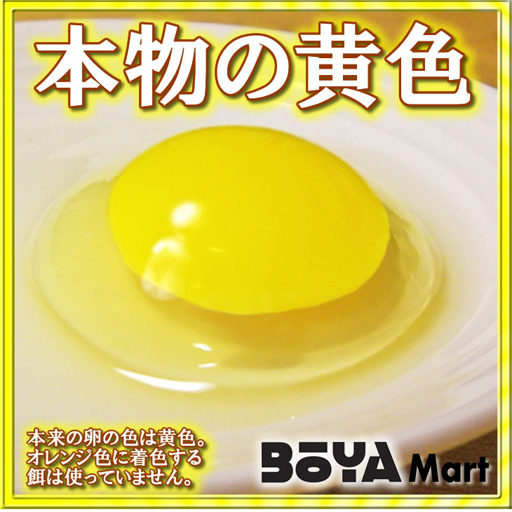 くさなぎ農園　平飼い有精卵　１４５個（割れ保証１５個含み１６０個）【自家製国産飼料/安全】【送料込】の画像