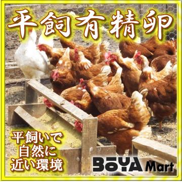 くさなぎ農園　平飼い有精卵　１４５個（割れ保証１５個含み１６０個）【自家製国産飼料/安全】【送料込】画像