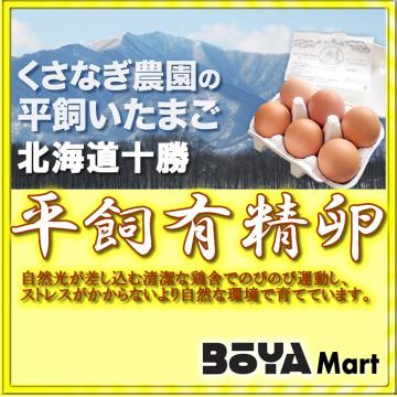 くさなぎ農園　平飼い有精卵　８０個（割れ保証８個含み８８個）【自家製国産飼料/安全】【送料込】の画像