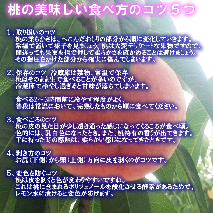 【申込期間8月27日まで】フレッシュピーチカネコ 【ご家庭用・訳あり品】　春日居の桃 ５ｋｇ【送料込】の画像