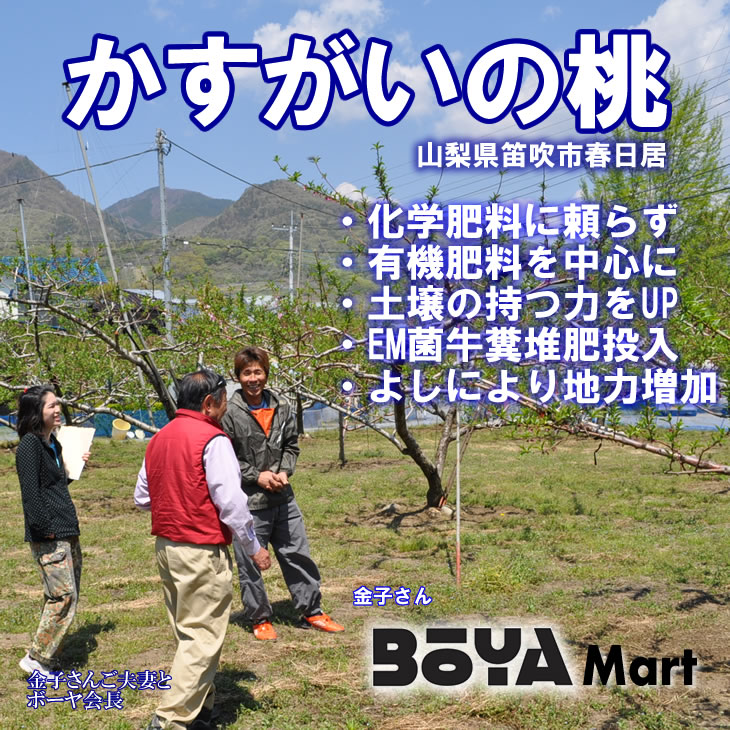 【申込期間8月27日まで】フレッシュピーチカネコ 【ご家庭用・訳あり品】　春日居の桃 ５ｋｇ【送料込】の画像