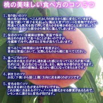 【申込期間8月27日まで】フレッシュピーチカネコ 【ご家庭用・訳あり品】　春日居の桃 ５ｋｇ【送料込】の画像