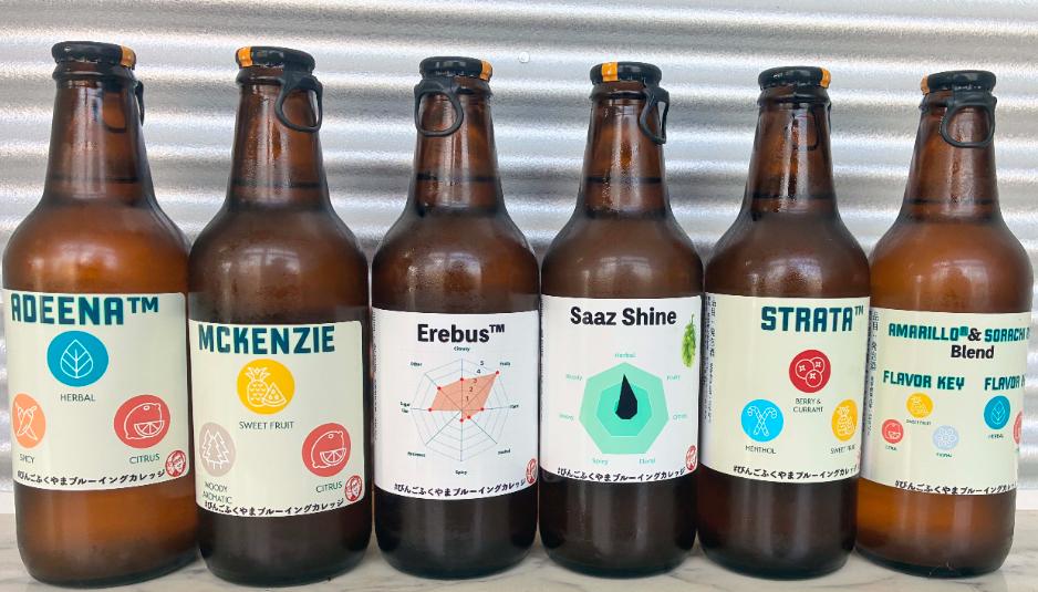 ホップ飲み比べ6本セットの画像