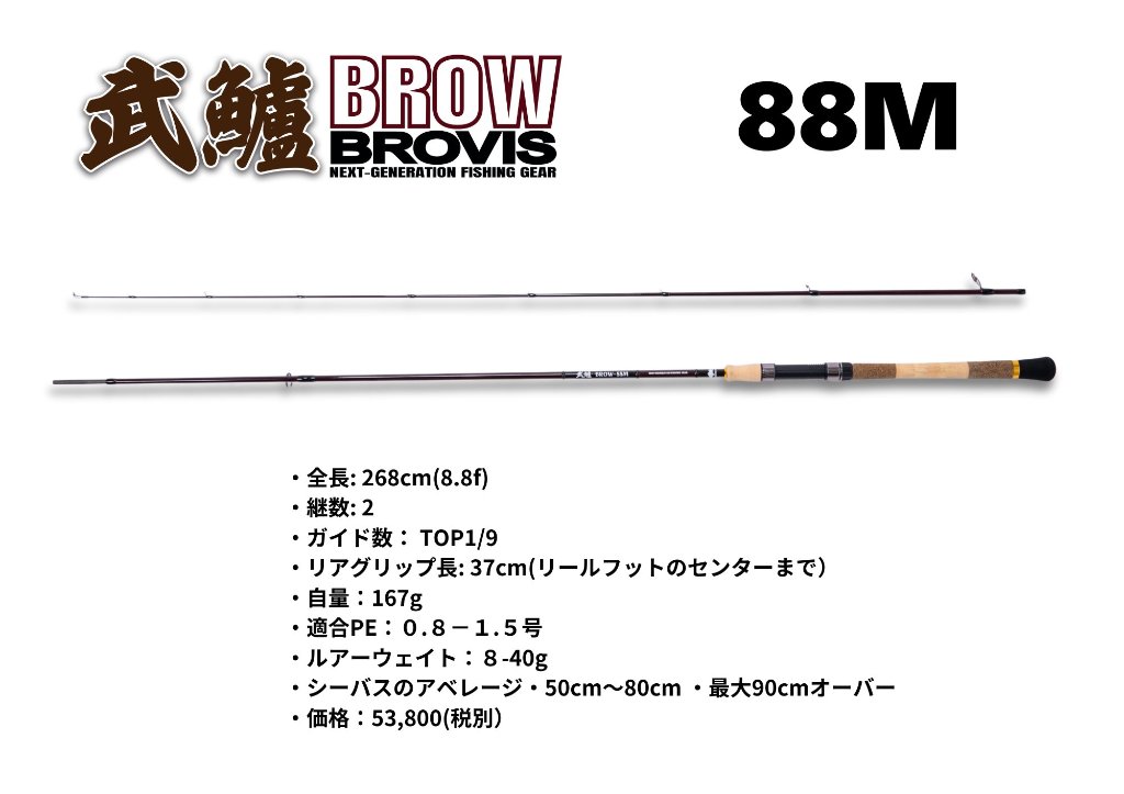 2024新商品❗️ シーバスロッド9.6f  富士ガイド付き　シーバス　タチウオ 2024新商品 シーバスロッド9.6f 富士ガイド付き シーバス タチウオ
