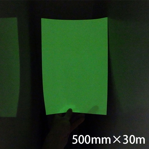 ロイヒテープ#200 500mm巾×30m画像