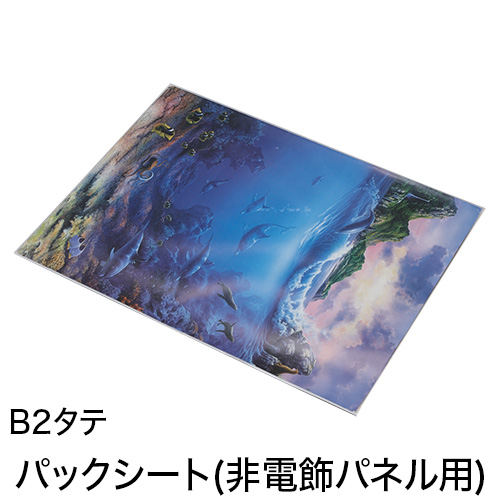 パックシート(非電飾パネル用) B2タテの画像