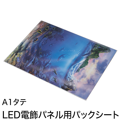 LED電飾パネル用パックシート A1タテの画像