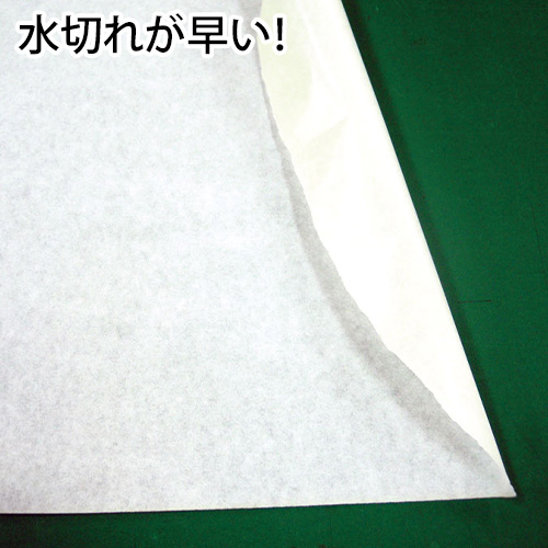 【在庫限り】転写用透明アプリケーションフィルム BE-200&和紙 中粘 サイズ混在セットの画像