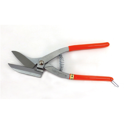 テスキーＣの画像