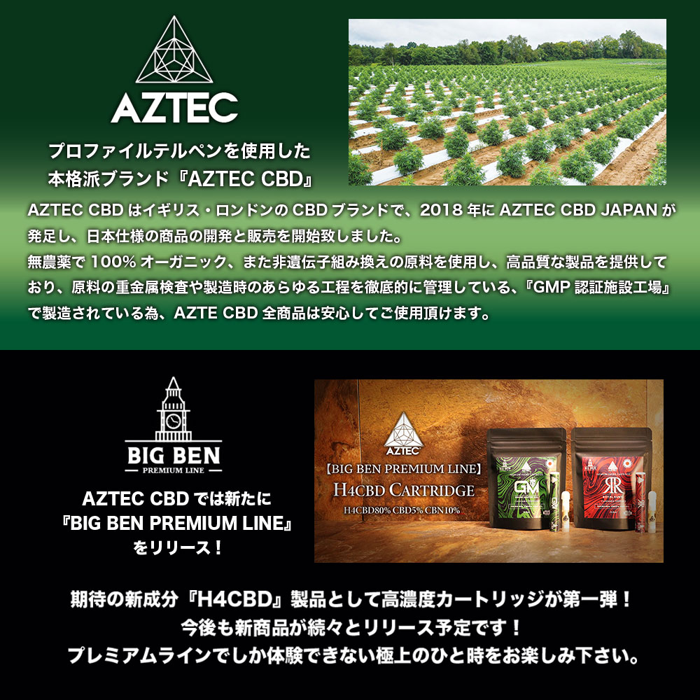 【AZTEC CBD アステカ CBD】 H4CBD カートリッジ AZTEC CBD H4CBD カートリッジ 0.5ml H4CBD80%+CBD5%+CBN10% 画像